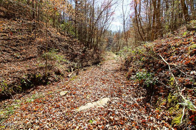 443 Huskey Grove Road, Sevierville, TN 37876