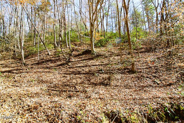 443 Huskey Grove Road, Sevierville, TN 37876