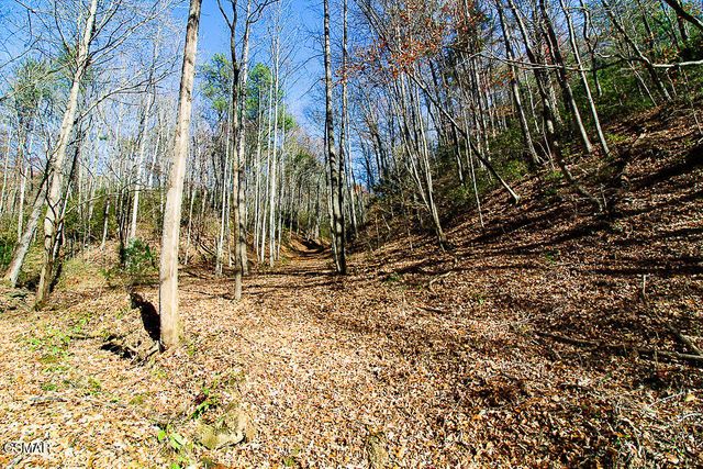 443 Huskey Grove Road, Sevierville, TN 37876