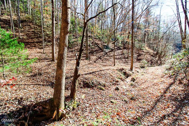 443 Huskey Grove Road, Sevierville, TN 37876