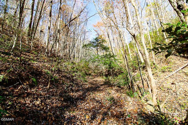 443 Huskey Grove Road, Sevierville, TN 37876