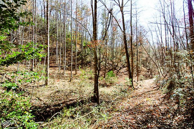 443 Huskey Grove Road, Sevierville, TN 37876