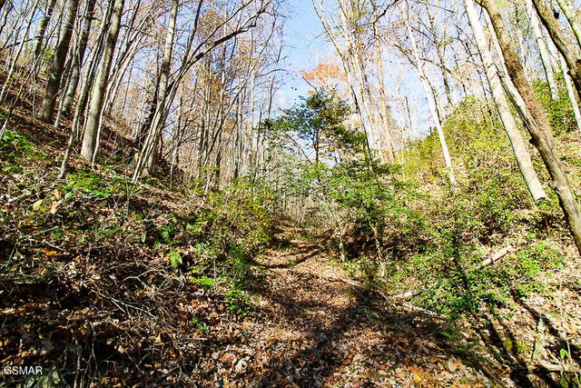 443 Huskey Grove Road, Sevierville, TN 37876