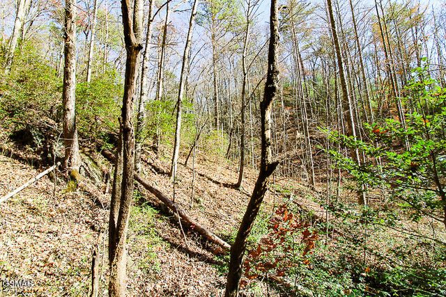 443 Huskey Grove Road, Sevierville, TN 37876