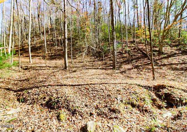 443 Huskey Grove Road, Sevierville, TN 37876