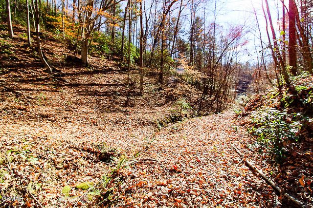 443 Huskey Grove Road, Sevierville, TN 37876