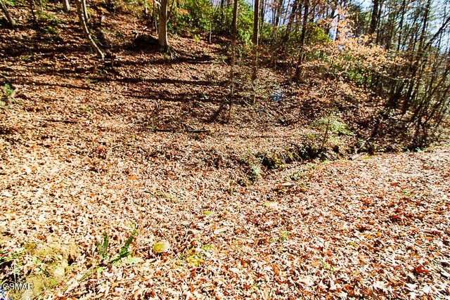 443 Huskey Grove Road, Sevierville, TN 37876