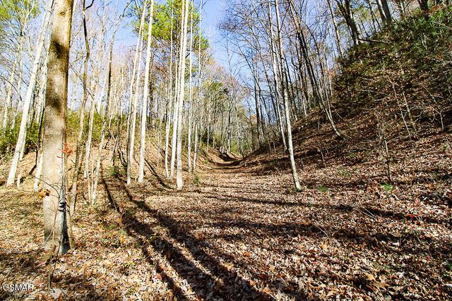 443 Huskey Grove Road, Sevierville, TN 37876