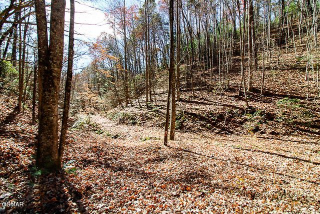 443 Huskey Grove Road, Sevierville, TN 37876