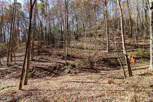 443 Huskey Grove Road, Sevierville, TN 37876