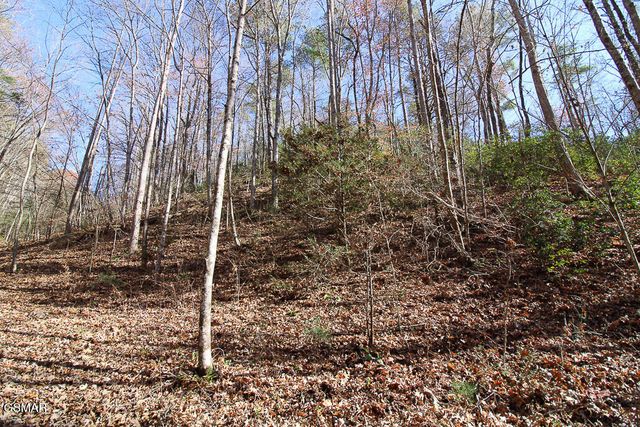 443 Huskey Grove Road, Sevierville, TN 37876