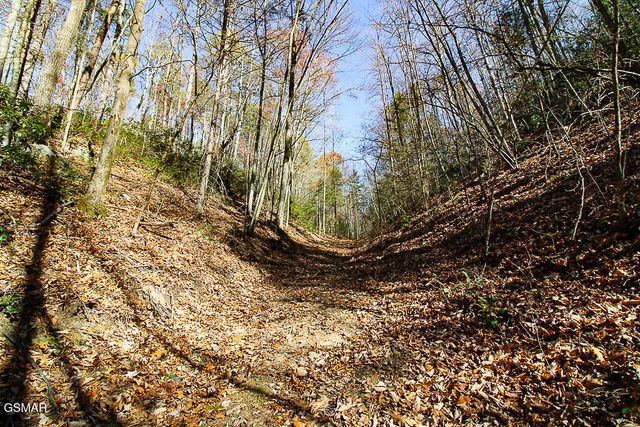 443 Huskey Grove Road, Sevierville, TN 37876