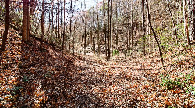 443 Huskey Grove Road, Sevierville, TN 37876