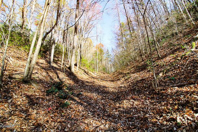 443 Huskey Grove Road, Sevierville, TN 37876