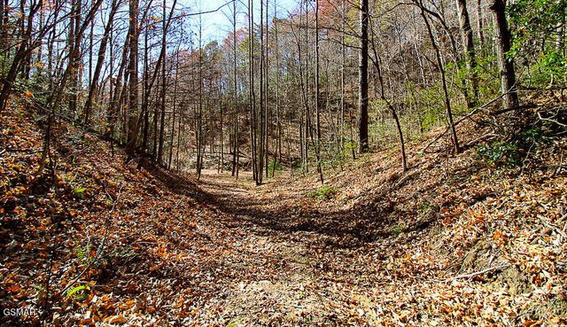 443 Huskey Grove Road, Sevierville, TN 37876