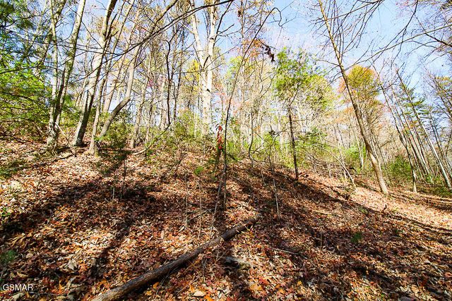 443 Huskey Grove Road, Sevierville, TN 37876