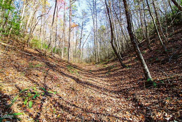 443 Huskey Grove Road, Sevierville, TN 37876