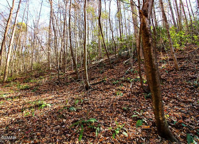 443 Huskey Grove Road, Sevierville, TN 37876