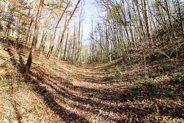 443 Huskey Grove Road, Sevierville, TN 37876