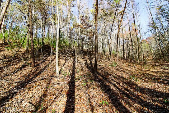 443 Huskey Grove Road, Sevierville, TN 37876