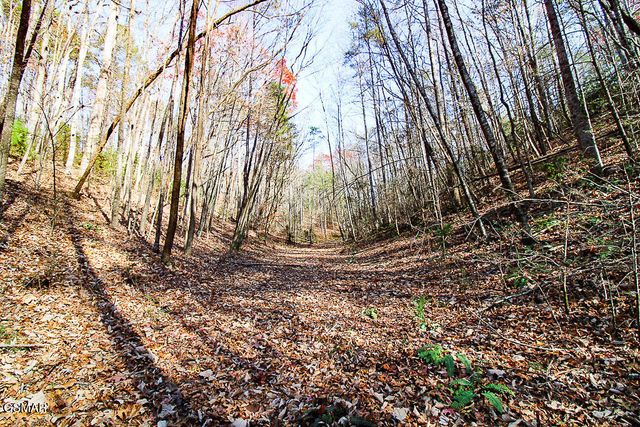 443 Huskey Grove Road, Sevierville, TN 37876