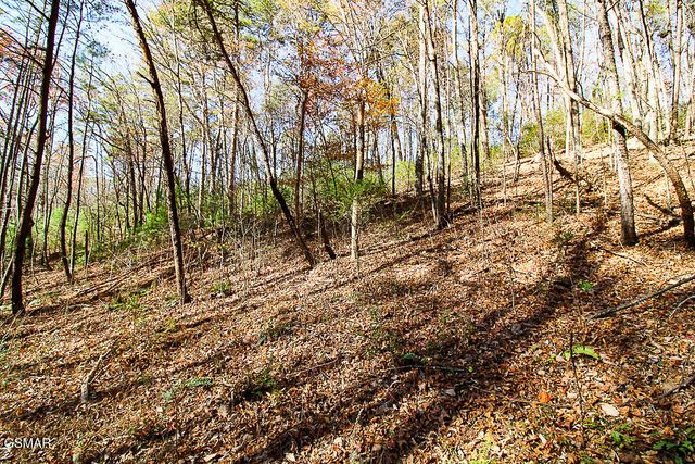 443 Huskey Grove Road, Sevierville, TN 37876