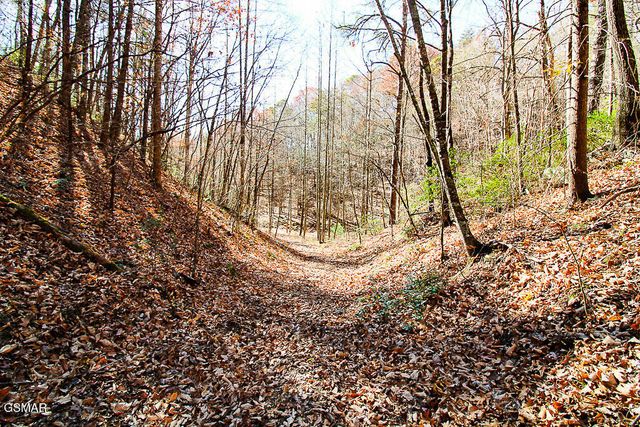 443 Huskey Grove Road, Sevierville, TN 37876