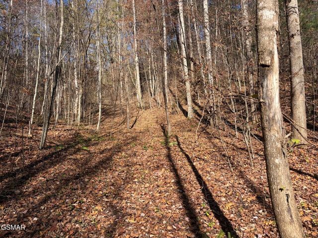 443 Huskey Grove Road, Sevierville, TN 37876