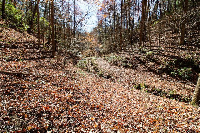 443 Huskey Grove Road, Sevierville, TN 37876