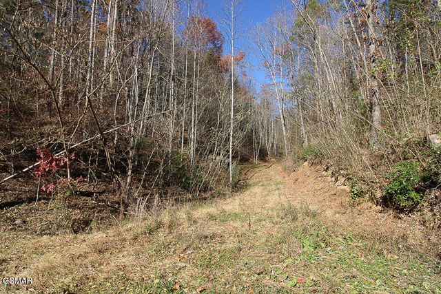 443 Huskey Grove Road, Sevierville, TN 37876