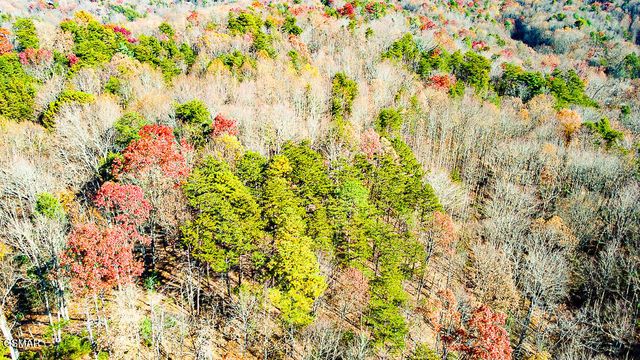 443 Huskey Grove Road, Sevierville, TN 37876