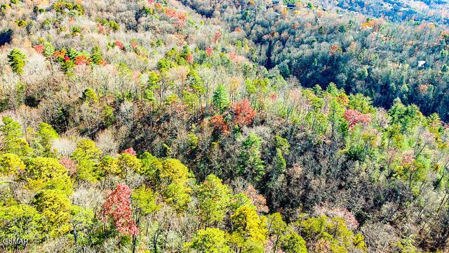 443 Huskey Grove Road, Sevierville, TN 37876