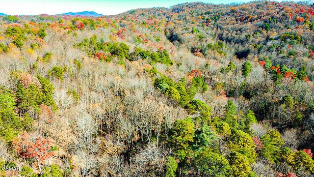 443 Huskey Grove Road, Sevierville, TN 37876