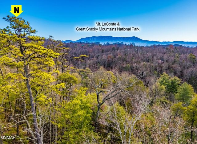 443 Huskey Grove Road, Sevierville, TN 37876