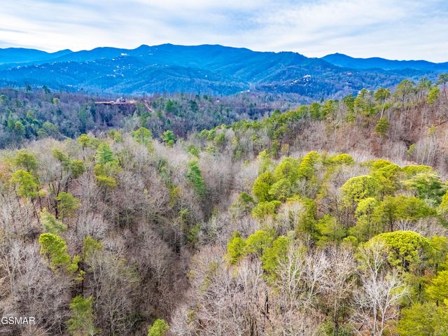 443 Huskey Grove Road, Sevierville, TN 37876