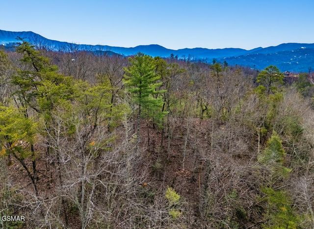 443 Huskey Grove Road, Sevierville, TN 37876