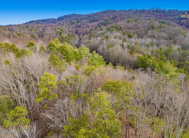 443 Huskey Grove Road, Sevierville, TN 37876