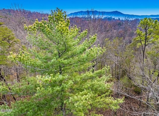 443 Huskey Grove Road, Sevierville, TN 37876