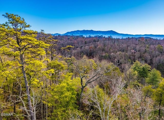 443 Huskey Grove Road, Sevierville, TN 37876