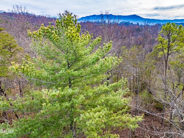 443 Huskey Grove Road, Sevierville, TN 37876