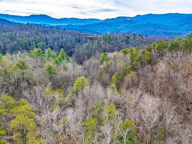 443 Huskey Grove Road, Sevierville, TN 37876