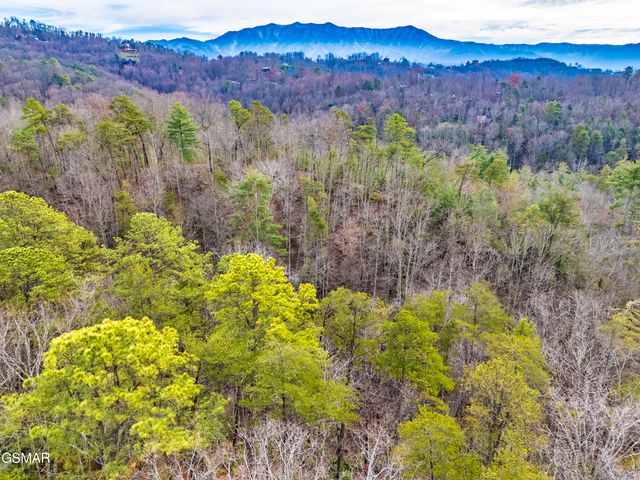 443 Huskey Grove Road, Sevierville, TN 37876