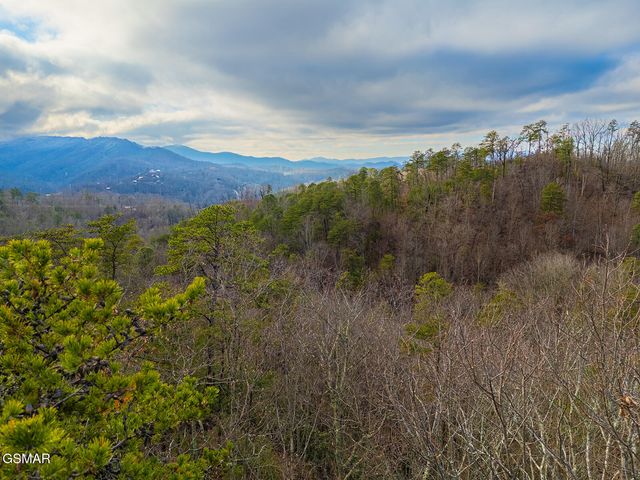 443 Huskey Grove Road, Sevierville, TN 37876