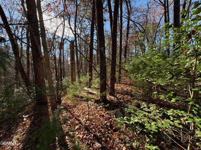 443 Huskey Grove Road, Sevierville, TN 37876