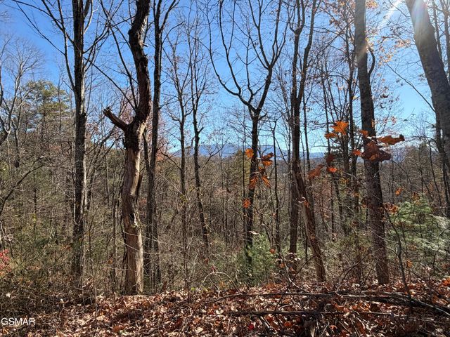 443 Huskey Grove Road, Sevierville, TN 37876