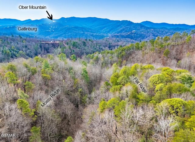 443 Huskey Grove Road, Sevierville, TN 37876