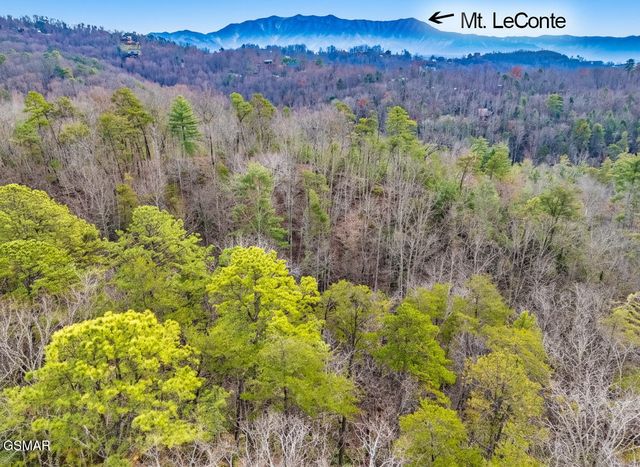 443 Huskey Grove Road, Sevierville, TN 37876