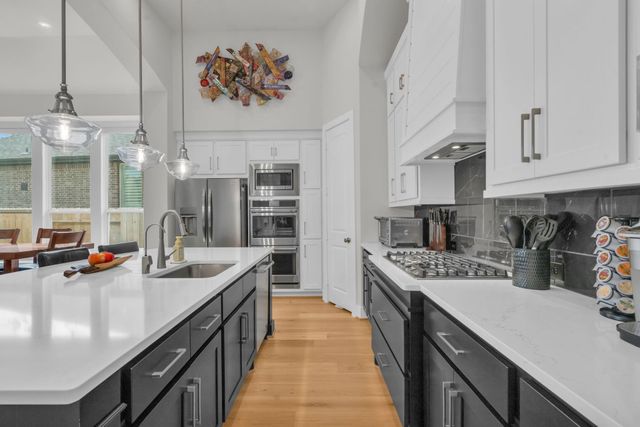 423 N Hillary Step Place, Montgomery, TX 77316