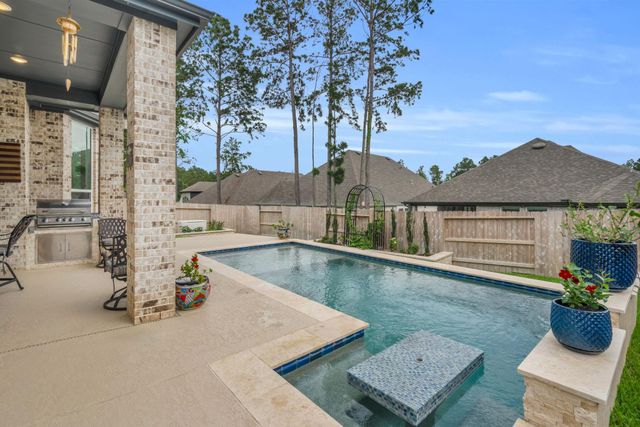 423 N Hillary Step Place, Montgomery, TX 77316