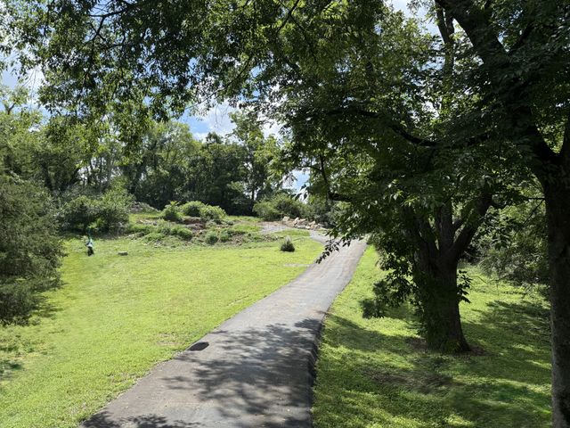 4119 Moss Rose Dr, Nashville, TN 37216